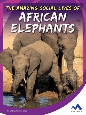 cover image of The Amazing Social Lives of African Elephants